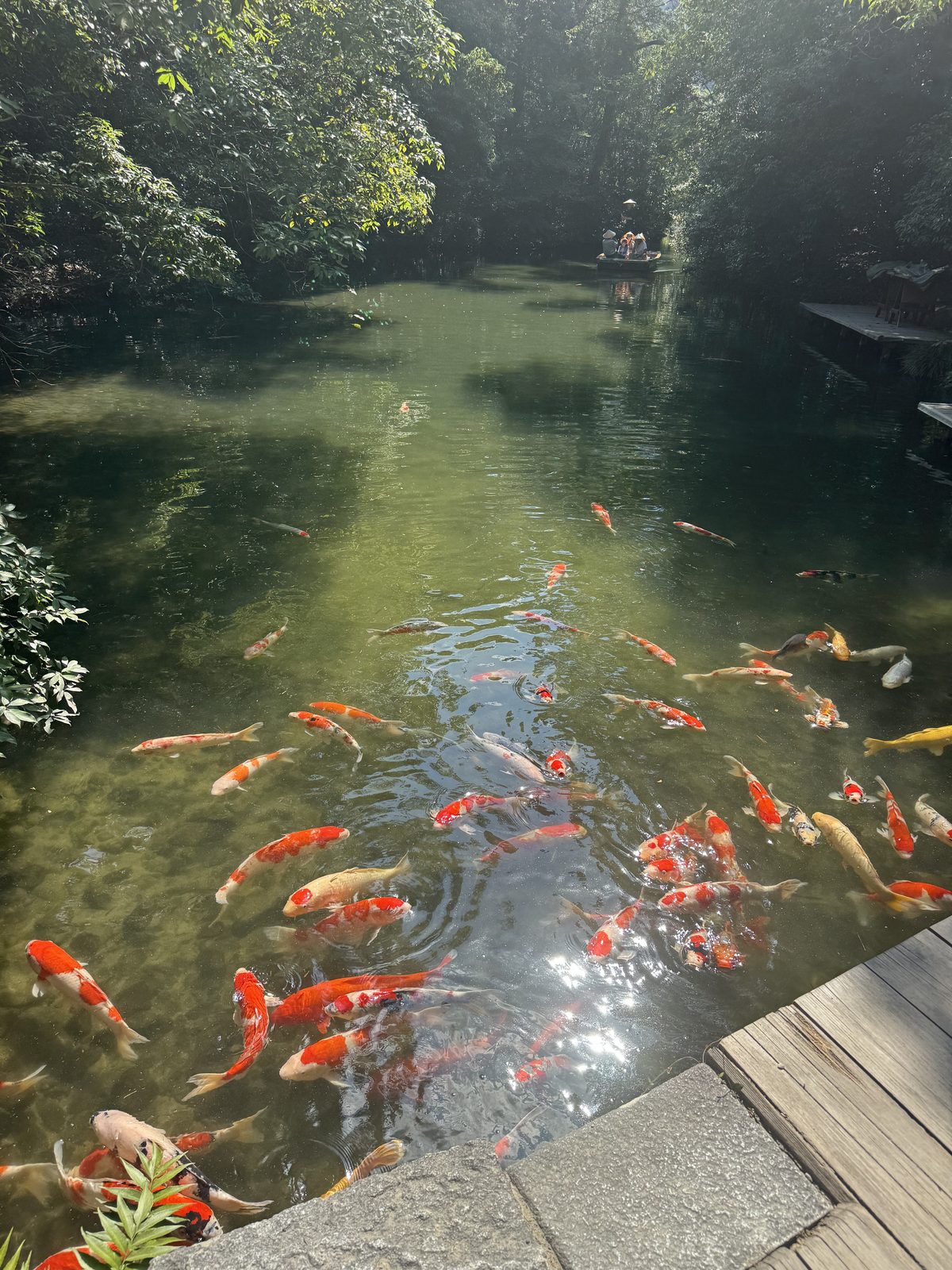 Koi pond at Ritsurin Garden, Takamatsu